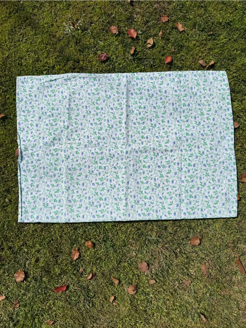 Laura Ashley Bramble Berry Fields 2-Piece Sheet Set Queen 100% Cotton GUC